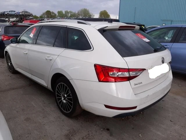 Superb baltas - Photo 4