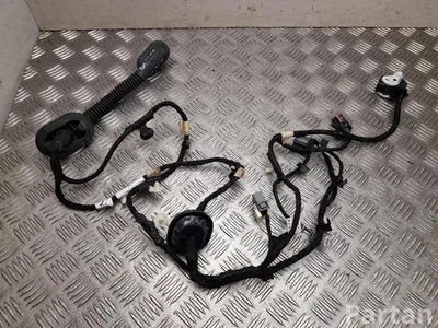 Ford USA NJ8T 14632 / NJ8T14632 Mustang Mach-E 2022 Cables de salón - Imagen 1