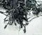 Land Rover L8B2-14M401, L8B2-14M401-ASD, L8B2-14N030-AC, M8B214F427BC, M8B2-9137-BA, M8B27C078FC / L8B214M401, L8B214M401ASD, L8B214N030AC, M8B214F427BC, M8B29137BA, M8B27C078FC Defender Station Wagon (L663) 2022 Kit de cables - Imagen 2