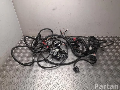 Ligier 1411188, 1421223 JS 50 2022 Кабели двигателя - Изображение 1