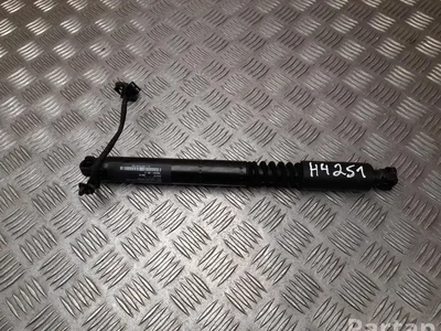 Tesla 1063441-00-C / 106344100C MODEL X 2019 Charnière de porte - Image 1