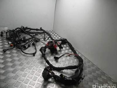 Audi 4G2 971 072 FG / 4G2971072FG A6 (4G2, C7, 4GC) 2013 Fils du compartiment moteur - Image 1