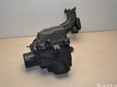 Renault 4EB0A ; 4EB0C / 4EB0A, 4EB0C KADJAR (HA_, HL_) 2017 Filtre à air - Image 1