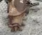 Mercedes-Benz A4473500914, 3.27 / A4473500914, 327 VITO Tourer (W447) 2014 Главная передача заднего моста - Изображение 3