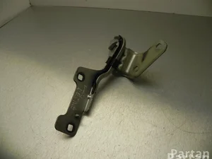 Renault 719034 CLIO III (BR0/1, CR0/1) 2010 Charnière