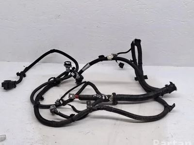 Renault 240113993S ZOE (BFM_) 2022 Variklio skyriaus laidai - Nuotrauka 1