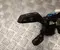 Audi 82A 953 521 QP / 82A953521QP Q3 (F3B) 2025 Steering column multi-switch - Image 3