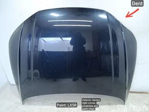 Audi Q5 (FY) 2018 Gaubtas