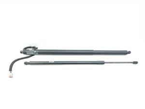 Chrysler 68455759AA Pacifica 2021 Gas Spring