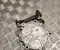 Audi 06N 145 100 E / 06N145100E A5 Sportback (F5A) 2021 Vakuumo siurblys - Paveiksliukas 3