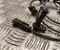 Opel 24071050203, 23483156 INSIGNIA A Saloon (G09) 2016 Capteur - Image 3