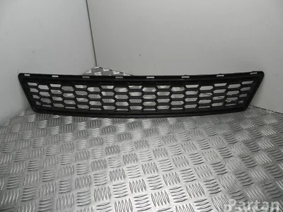 BMW 8048097 X3 (F25) 2015 Grillades - Image 1