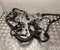 Toyota 82121-0H690 / 821210H690 AYGO X (_B7_) 2025 Motor Leitungssatz - Bild 3