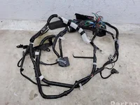 Mazda DG2J67010, D09W67P14,  D09W67P11 / DG2J67010, D09W67P14, D09W67P11 CX-3 (DK) 2016 Engine harness