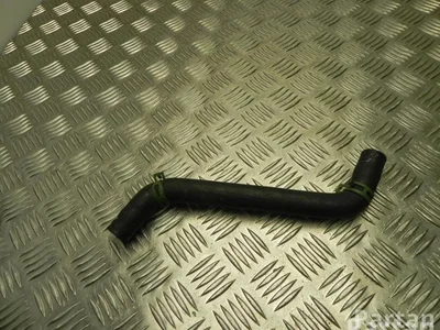 Renault 215037483R ZOE (BFM_) 2013 Tuyau de radiateur - Image 1