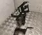 Gebrauchtes Original Škoda 1EA 816 037 R / 1EA816037R ENYAQ iV SUV (5AZ) 2022 Motorhalter - Bild 2