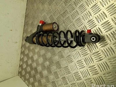 Lynx 505074467 BOONDOCKER 3900RE 850 2019 kit amortisseur Right Front - Image 1