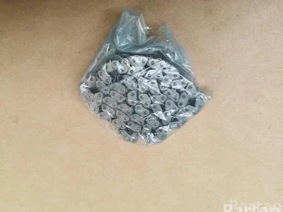 Porsche 95810915801 MACAN (95B) 2021 Chaîne de distribution - Image 1