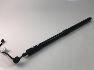 Volvo 31690929 XC60 II (246) 2020 Amortisseur