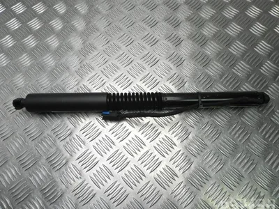 BMW 7397322 X3 (G01) 2018 Ressort à gaz - Image 1