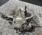 Mercedes-Benz A2473505104, 2.438, A2473502702 / A2473505104, 2438, A2473502702 B-Class (W247) 2019 Hinterachsgetriebe - Bild 2