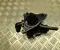 Hyundai 25600-2M810 / 256002M810 Tucson (NX4) 2023 Thermostat - Image 1