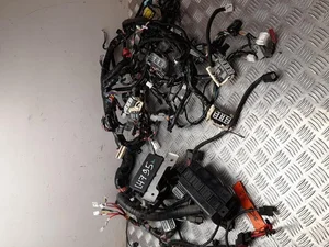 Tesla 1004428-01-N, 1015585-00-A, 1013650-00-E / 100442801N, 101558500A, 101365000E MODEL S 2015 Harnais