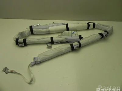 Nissan 62X4E1600098 LEAF (ZE0) 2014 Airbag de tête - Image 1