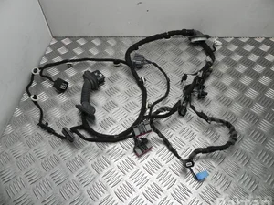 Jaguar J9D3-14632-SD / J9D314632SD I-PACE 2019 Harnais pour intérieur