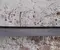 Mazda DFR568930 CX-30 DM 2025 Trunk lining - Image 3
