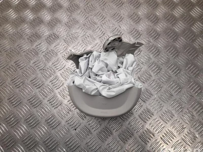 Volvo 39834727 XC60 II (246) 2024 Airbag du conducteur - Image 1