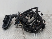 BMW 9262859 7 (F01, F02, F03, F04) 2014 Harness for interior