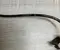 BMW 5A3BAF7 1 (F70) 2025 Wheel Speed Sensor Right Rear Left Rear - Image 3