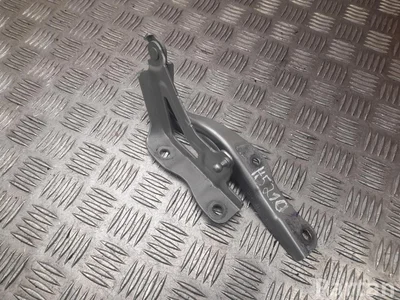 XPeng 100141 E28 R 2341 / 100141E28R2341 P7 2025 Шарнир, капот - Изображение 1