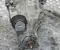 Mercedes-Benz A2133500601, 2.823 / A2133500601, 2823 C-CLASS (W205) 2019 Главная передача заднего моста - Изображение 2