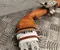 Gebrauchtes Original Nissan 297A75MR0C Ariya 2025 Kabelsatz - Bild 2