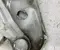 Gebrauchtes Original Citroën 8X0823301 C5 AIRCROSS (A_) 2019 Heckklappenscharnier - Bild 2
