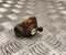 Citroën 24322016073, 440286 ZX (N2) 1999 Wheel Brake Cylinder - Image 1