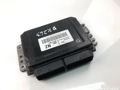 Chevrolet 96417301 MATIZ (M200, M250) 2008 Unité de contrôle moteur - Image 1