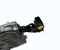 Scania 3082314, 2947643, 2591546, 4325243902, 4213800080, 8946000752 Gearbox control unit - Image 3