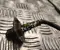 Dacia 226907163R BIGSTER 2025 Lambda Sensor - Image 3