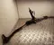 Renault 490014277R MASTER III Kasten (FV) 2019 Lenkgetriebe - Bild 1