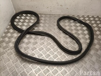 Toyota PRIUS (_W6_) 2024 Door Seal - Image 1