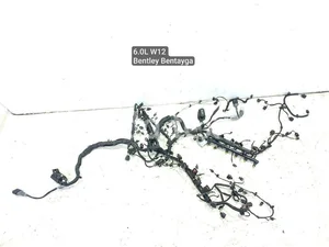 Bentley 36A971595Q BENTAYGA 2017 Kable silnikowe