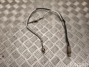 Audi 8W0 919 519 C / 8W0919519C A5 Sportback (F5A) 2021 czujnik, temperatura spalin