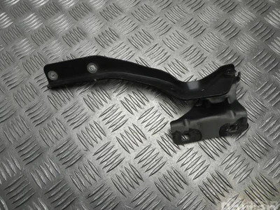 Nissan DESNE PRIEKIS / DESNEPRIEKIS QASHQAI / QASHQAI +2 I (J10, JJ10) 2008 Charnière - Image 1