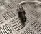 Ford PZ11-9Y460-DA, PU5A-5M229-AA / PZ119Y460DA, PU5A5M229AA Kuga III 2025 Lambda Sensor - Image 2