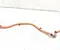 Gebrauchtes Original Volvo 30644791, D-30644791 / 30644791, D30644791 XC90 II 2016 Kabelsatz - Bild 3