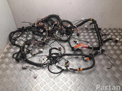 Ligier 1419870C, 1420750A JS 50 2022 Kabelsatz für Innenraum - Bild 1