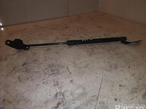 BMW 51247060622 1 (E81) 2009 Charnière